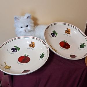 Large Spaghetti bowls set of 2